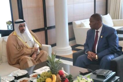 MOBILISATION: LES ÉMIRATS ARABES UNIS SOUTIENNENT LA POLITIQUE DU PRÉSIDENT DE LA RÉPUBLIQUE EN MATIÈRE DE LA SANTÉ DE REPRODUCTION